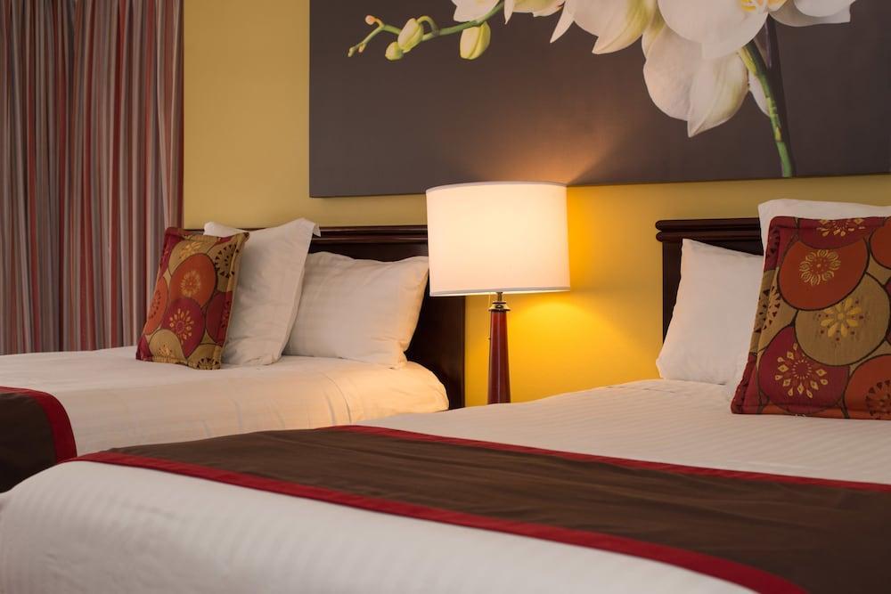 Hotel Palma Real 산호세 외부 사진