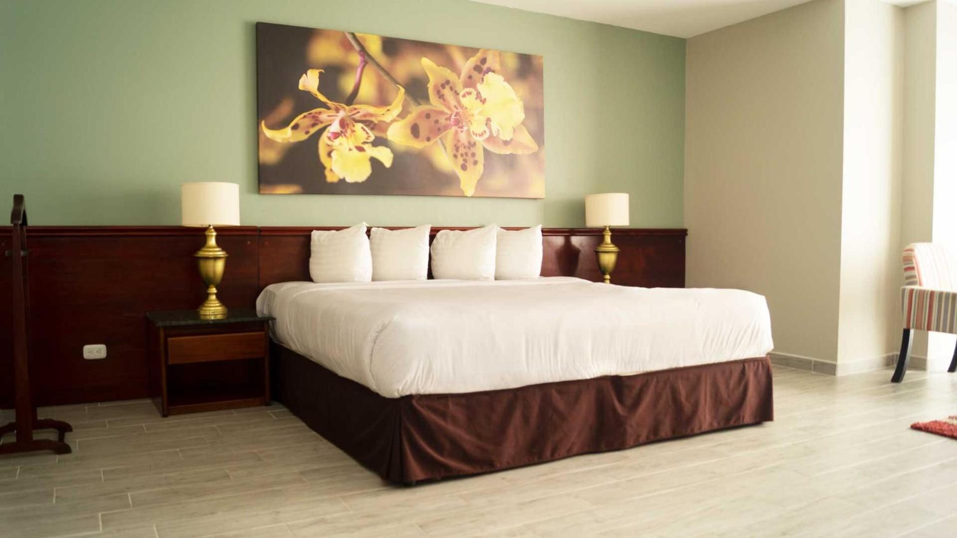 Hotel Palma Real 산호세 외부 사진